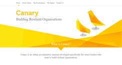 Desktop Screenshot of canarytest.com